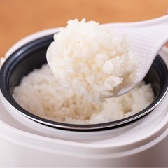 ミニライスクッカー　炊飯器　の画像