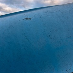 手漕ぎボートの画像