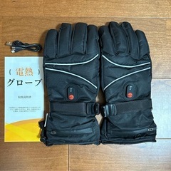 電熱グローブ❣️保温手袋 冬 防寒 12000mAhバッテリー付き スマホ対応の画像
