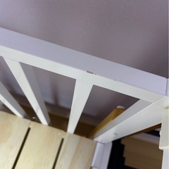 ソイネールIIIの画像