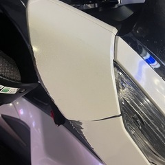 お譲り先決まりましたの画像