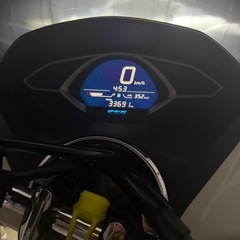 お譲り先決まりましたの画像