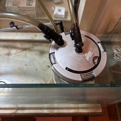 1200オールガラス水槽 台付 早い者勝ちです！の画像