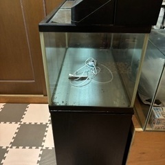 90cm水槽 フルセット 早い者勝ちです！の画像