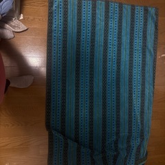 12月下旬譲渡　ブランケットの画像