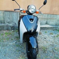 ホンダ、today AF６７、燃費に優しい４スト　通勤、通学に。の画像