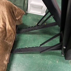 お買い得すぎる価格です！！トレーニングベンチ！の画像