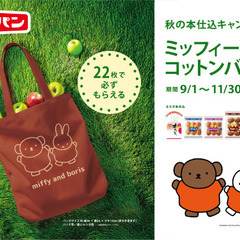 フジパンのキャンペーン応募券16枚の画像