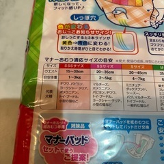 マナーおむつ６２枚の画像