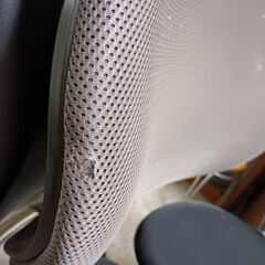 HARACHAIRゼノンの画像