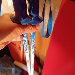 スキーの板、スティックの画像