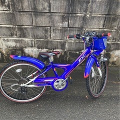 ブリジストン　マウンテンバイク　自転車　子供　男の子の画像