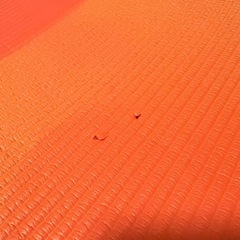 【無料】ヨガマットの画像