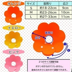 犬、猫、エリザベスカラーの画像