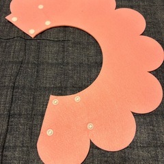 犬、猫、エリザベスカラーの画像