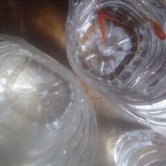 ボトル入りメダカ(5匹)ヌマエビ(20匹以上)金魚(3匹)タナゴ(2匹)ドジョウ(3匹)本日販売分の14ボトル追加品出ししました。の画像