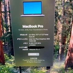 MacBook Pro 2018 13インチ
の画像