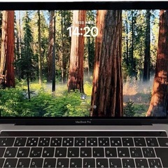 MacBook Pro 2018 13インチ
の画像