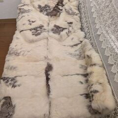 ラビット毛皮コートの画像