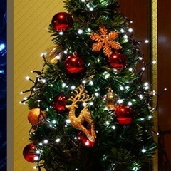 クリスマスツリー　　照明の画像