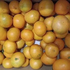 小みかん 20個400円 の画像