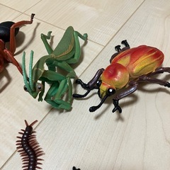 よく分からん虫のやつの画像