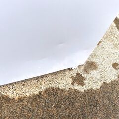 ヤマダセレクト・ノンフロン冷凍冷蔵庫・YRZ-C09H1・容量87L・2021年製・一人暮らし・No.250912-07の画像