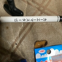 30分限定の画像