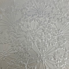 PARTY TRAY 佐々木硝子(株) M40-504 中皿１枚の画像