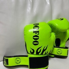 子ども用ボクシンググローブ
の画像