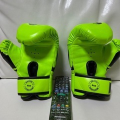 子ども用ボクシンググローブ
の画像