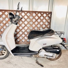 【ホンダ トゥデイ AF61（50cc）】の画像