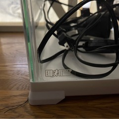 水槽/爬虫類ケージの画像