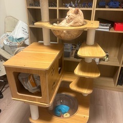 RAKU キャットタワーの画像
