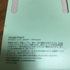 ■Google Pixel 9■Wintergreen■128GBの画像