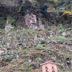 飼えなくなった古代魚 アロワナ ポリプ ダトニオ等引き取り…