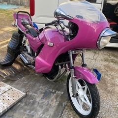 ゴキ　gsx ゼファー　xjr pcx v125g v100の画像