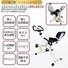 TIGORA(ティゴラ) フィットネスバイク フィットネスマシン リカンベントの画像