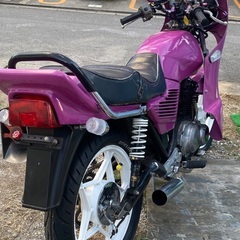 ゴキ　gsx ゼファー　xjr pcx v125g v100の画像