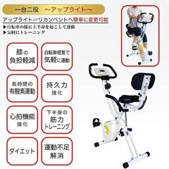 TIGORA(ティゴラ) フィットネスバイク フィットネスマシン リカンベントの画像