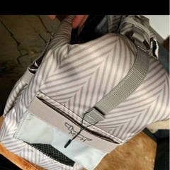 Rechell ペットキャリーバッグの画像