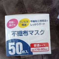 不織布マスク😷　2箱セットの画像