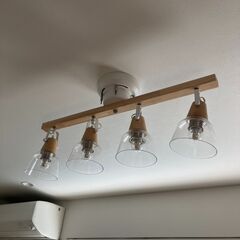 シーリングライトNebulaの画像