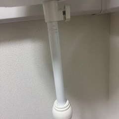 トルソーの画像