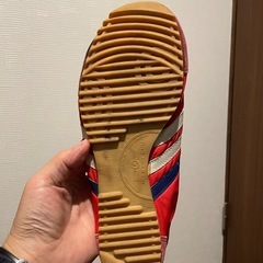 ムーンスター　　ジャガーの画像