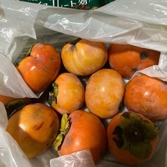 食品色々　柿、全部で15個の画像