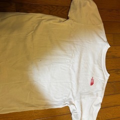 ザノースフェイスTシャツの画像