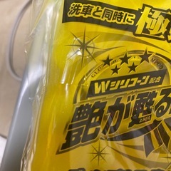 光沢ワックスシャンプー（ライトメタリック）の画像