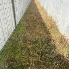 【26日急募！軽作業】名古屋市昭和区の画像