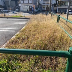 【26日急募！軽作業】名古屋市昭和区の画像